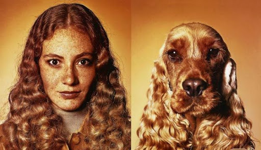 Fotó: pozitivnap.hu